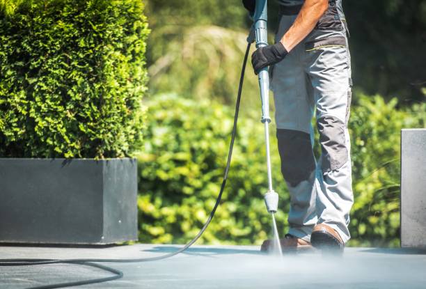 Best Driveway Pressure Washing  in West Branch, MI